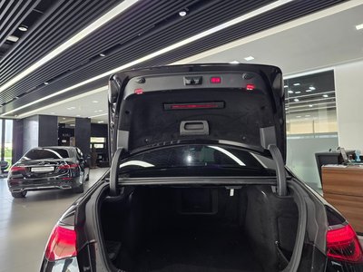 2021 Mercedes-BENZ S-CLASS — миниатюра 19