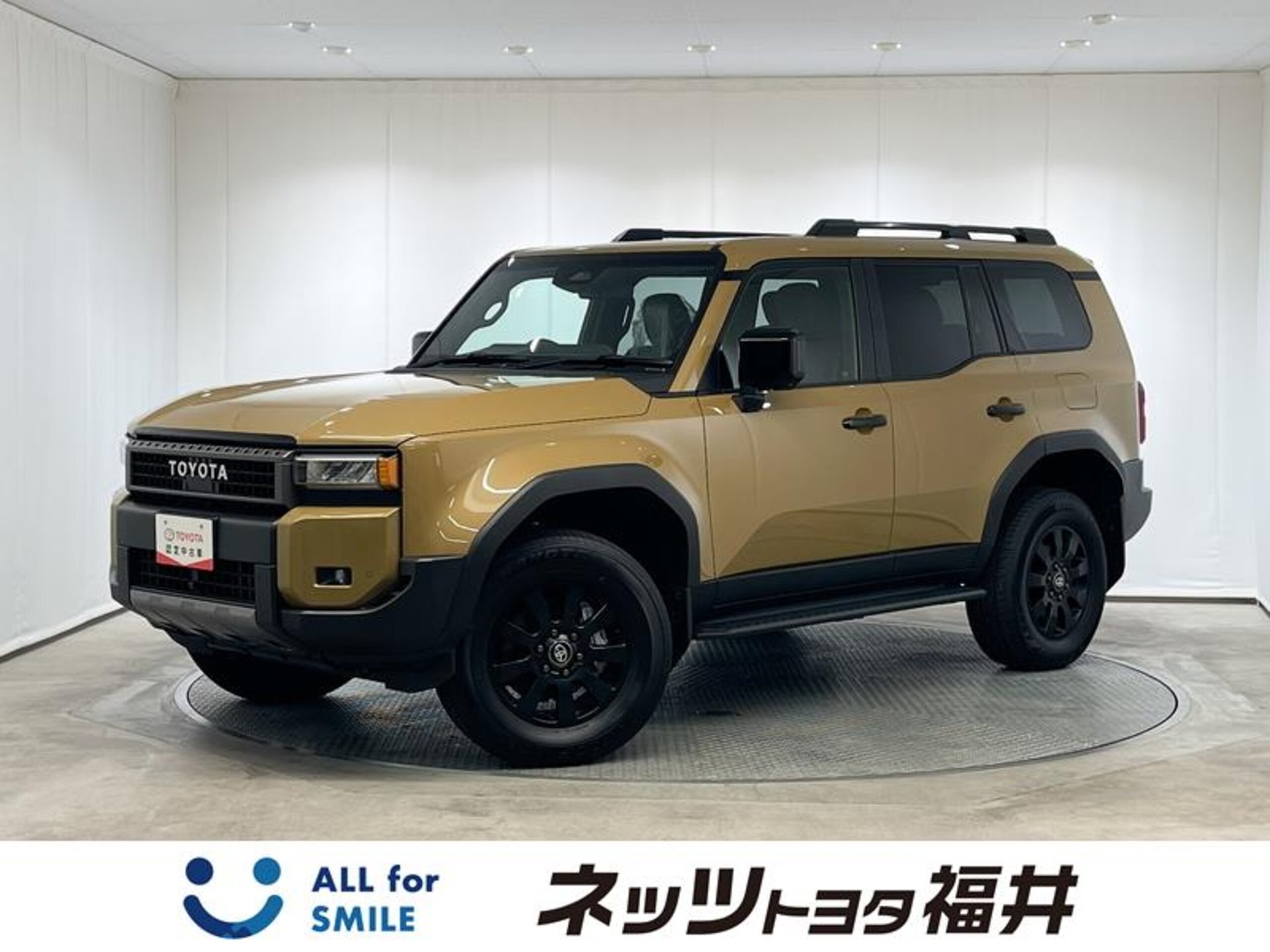 TOYOTA LAND CRUISER 250 - View 1