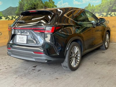 صورة مصغرة 18 لـ 2023 Lexus NX