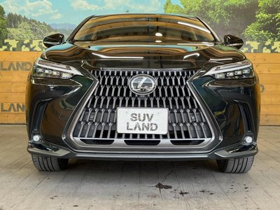 صورة مصغرة 15 لـ 2023 Lexus NX