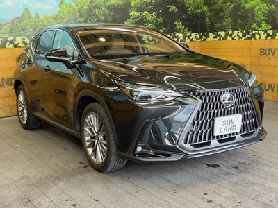 صورة مصغرة 17 لـ 2023 Lexus NX
