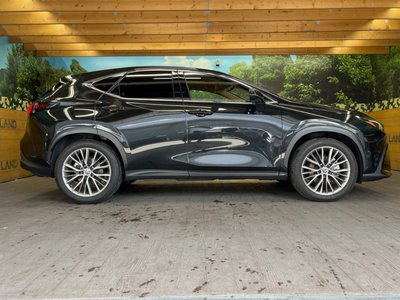 صورة مصغرة 50 لـ 2023 Lexus NX