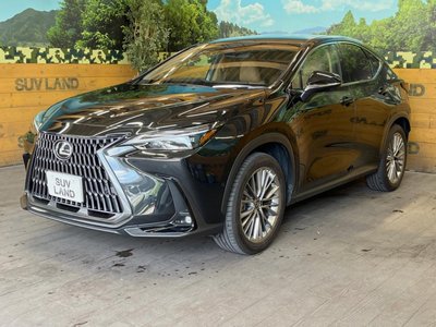 صورة مصغرة 48 لـ 2023 Lexus NX