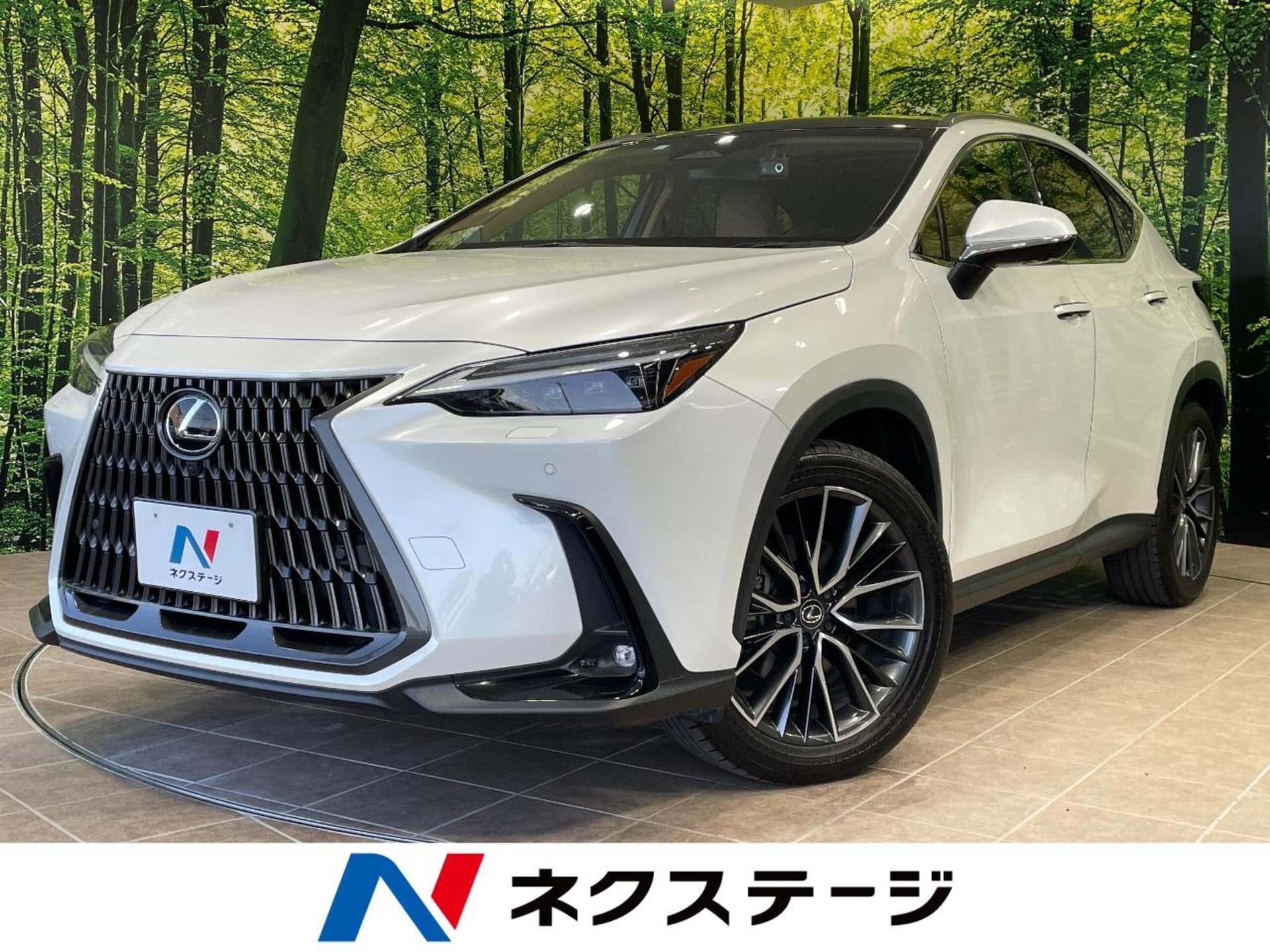 LEXUS NX - View 1