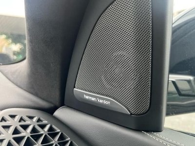 2025 BMW X7 照片 5