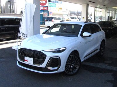2025 AUDI Q5 — миниатюра 21