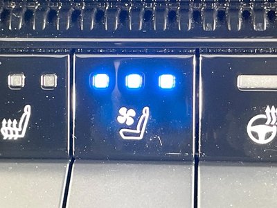 2024 Toyota LAND CRUISER 250 缩略图 75