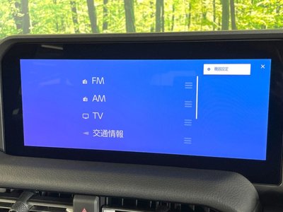 2024 Toyota LAND CRUISER 250 缩略图 78