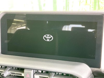 2024 Toyota LAND CRUISER 250 photo 4