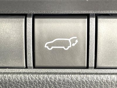 2024 Toyota LAND CRUISER 250 photo 7