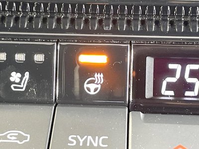 2024 Toyota LAND CRUISER 250 缩略图 74