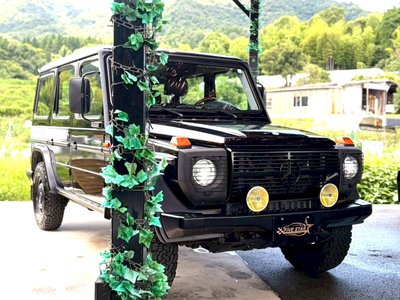 2005 Mercedes-BENZ G-CLASS 缩略图 14