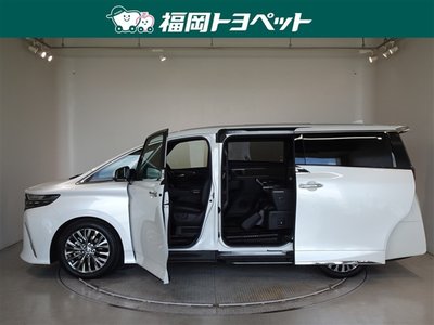 2025 Toyota ALPHARD — миниатюра 19