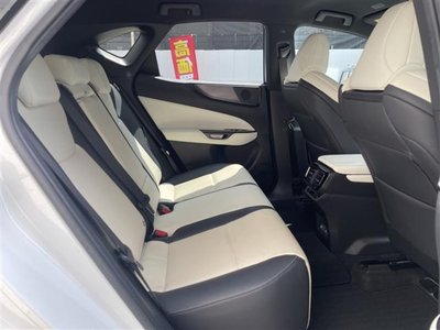 2023 Lexus NX 缩略图 19