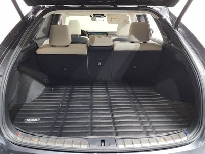 2024 Lexus RX 缩略图 26