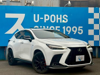 LEXUS NX - 1