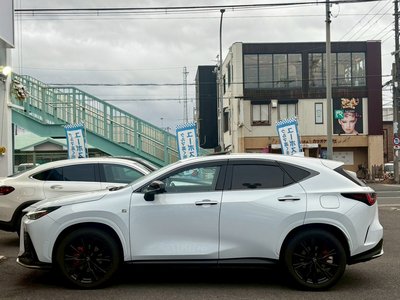 LEXUS NX - 6