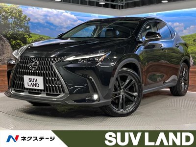 LEXUS NX - 1