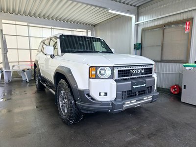 TOYOTA LAND CRUISER - 10