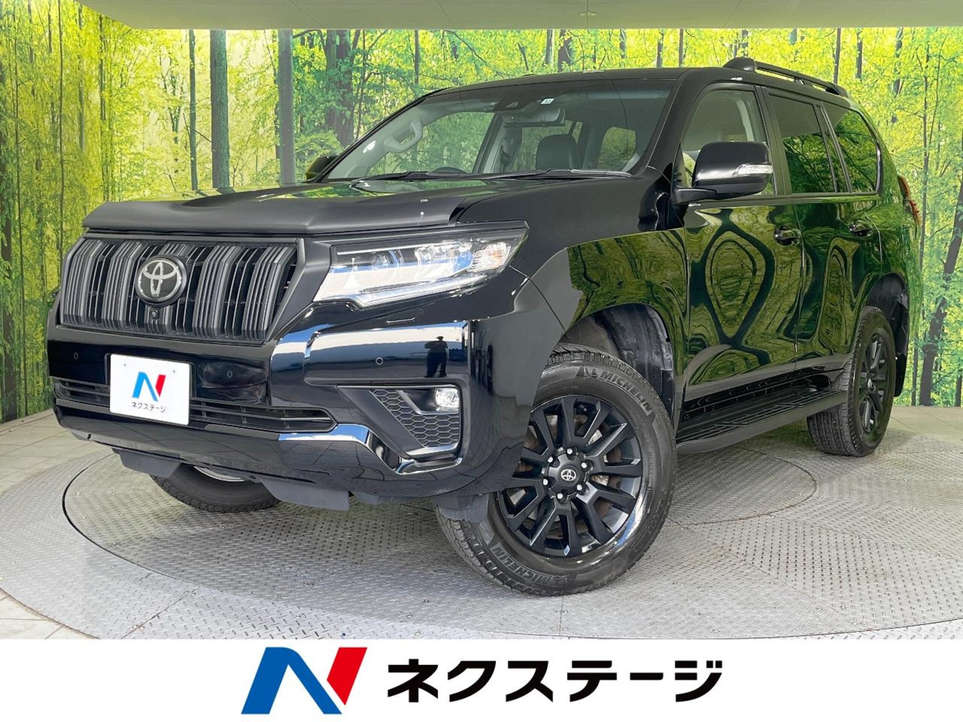 TOYOTA LAND CRUISER PRADO - View 1
