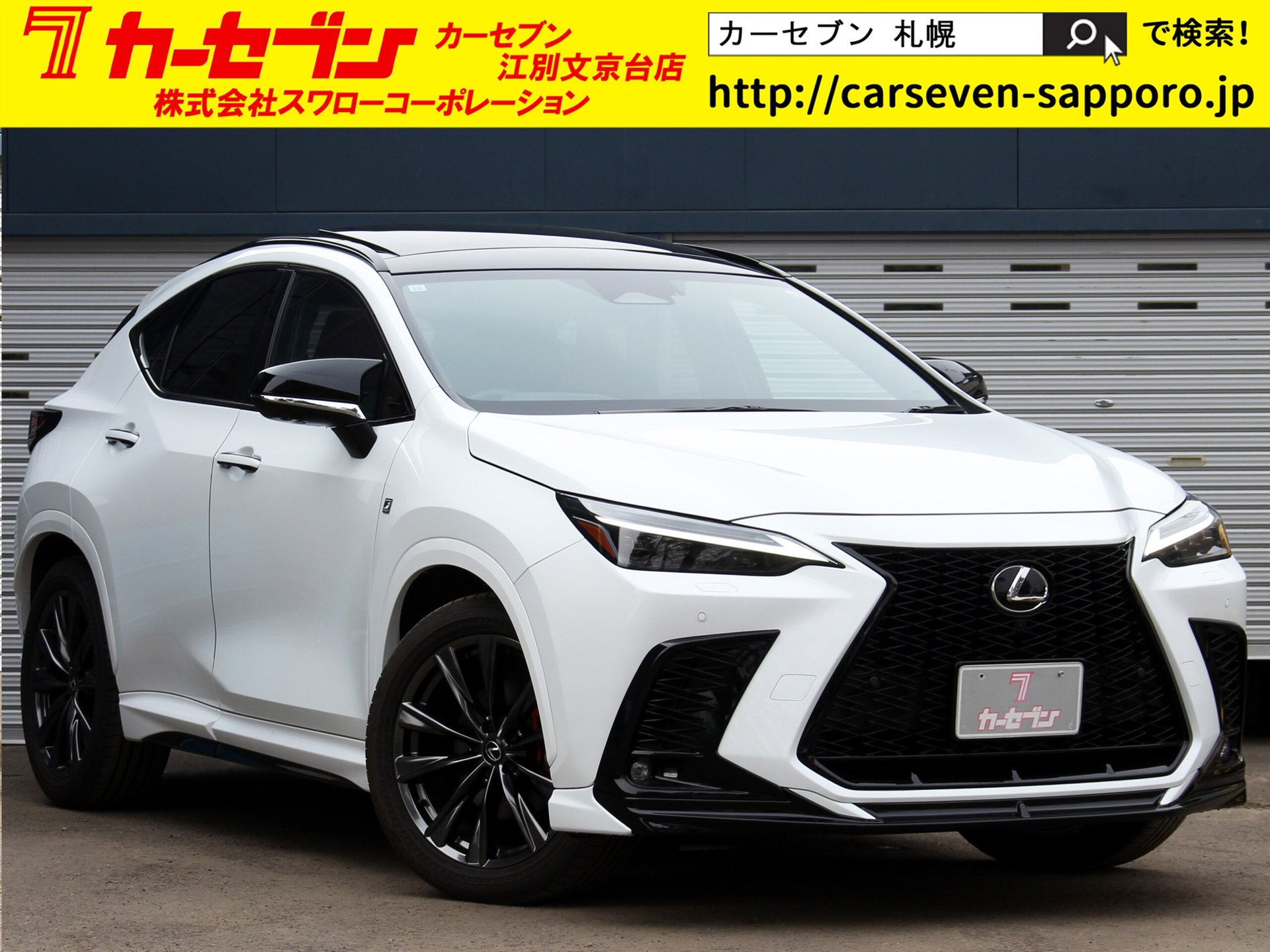 LEXUS NX - View 1