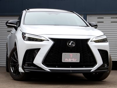 LEXUS NX - 4