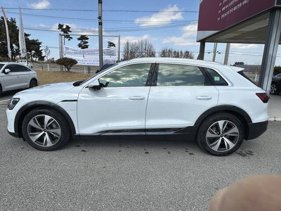 2024 AUDI Q8 E-TRON 缩略图 11