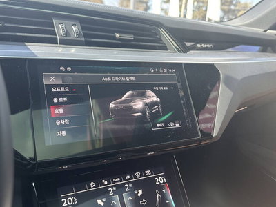 2024 AUDI Q8 E-TRON 缩略图 16