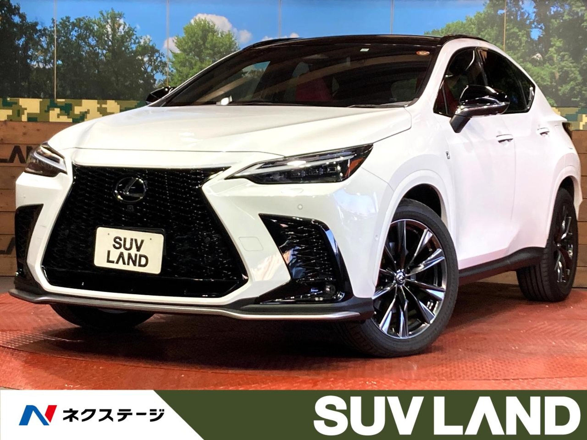 LEXUS NX - View 1