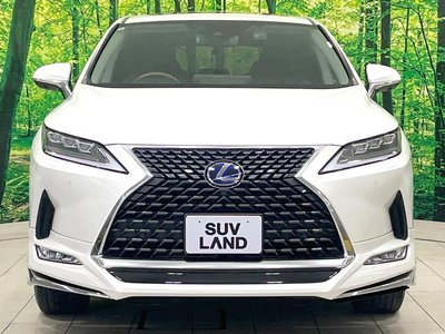 صورة مصغرة 16 لـ 2019 Lexus RX