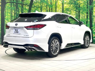 صورة مصغرة 15 لـ 2019 Lexus RX