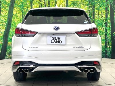 صورة مصغرة 17 لـ 2019 Lexus RX