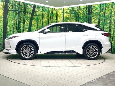 صورة مصغرة 30 لـ 2019 Lexus RX