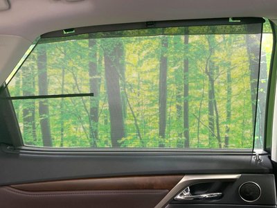 صورة مصغرة 31 لـ 2019 Lexus RX