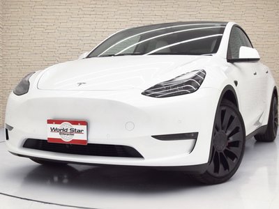 TESLA MODEL Y - 1