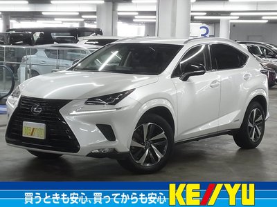 LEXUS NX - 1
