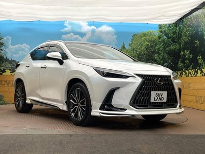 صورة مصغرة 18 لـ 2025 Lexus NX