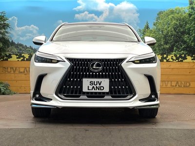 صورة مصغرة 16 لـ 2025 Lexus NX