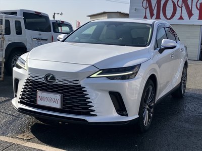 LEXUS RX - 1