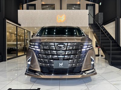 TOYOTA ALPHARD - 3