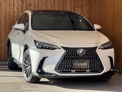LEXUS NX - 3