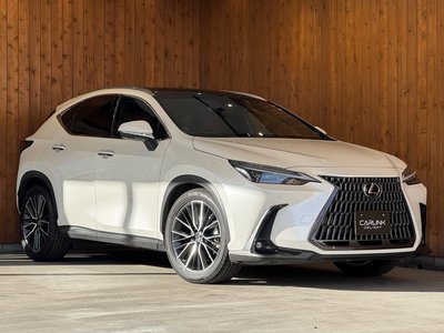 LEXUS NX - 1