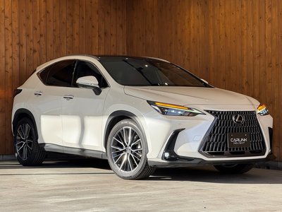 LEXUS NX - 8