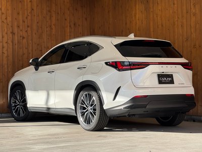 LEXUS NX - 7