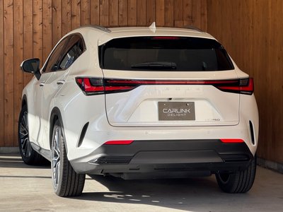 LEXUS NX - 6