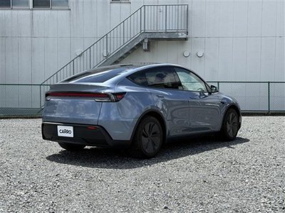 2025 Tesla MODEL Y — фото 7