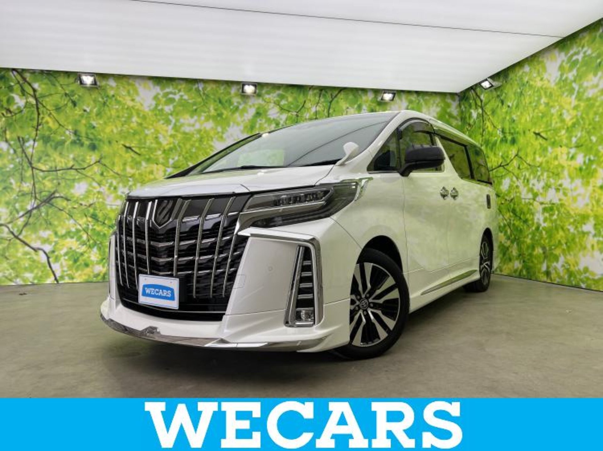 TOYOTA ALPHARD - View 1