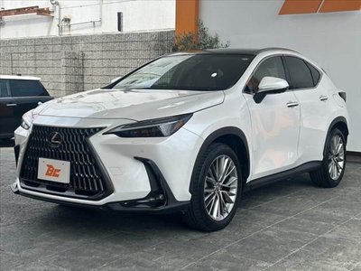 LEXUS NX - 10