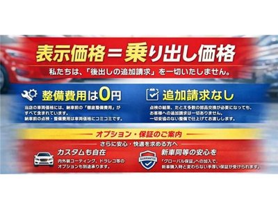 TOYOTA LAND CRUISER PRADO - 2