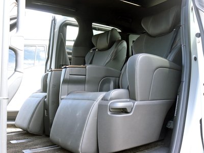 2023 Toyota ALPHARD 缩略图 20